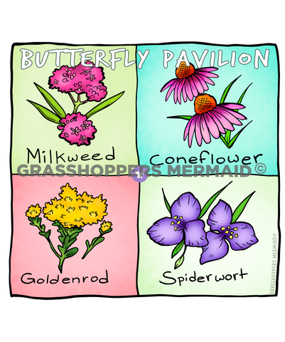 Colorado Native Flower Square