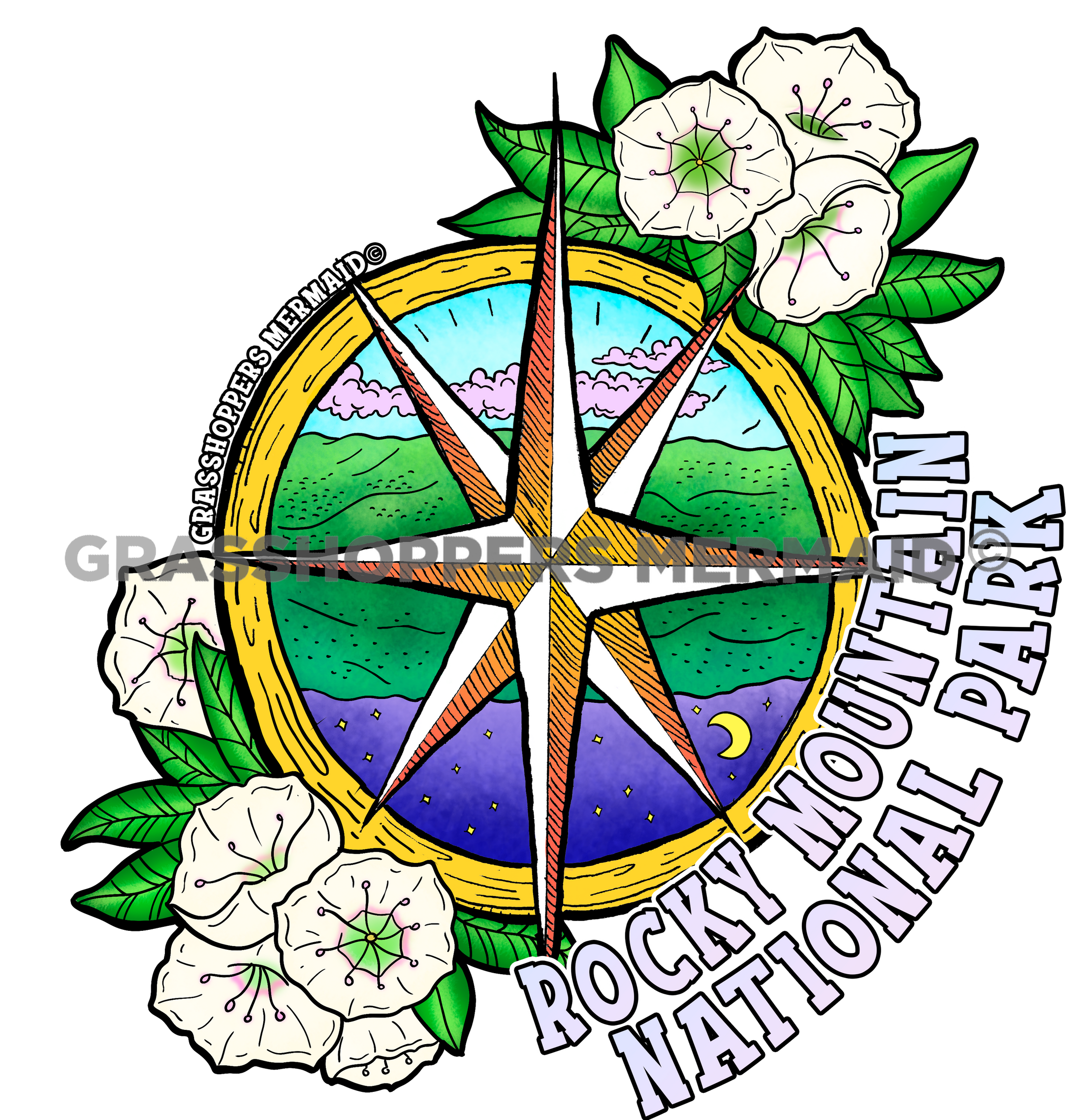 Compass Night Reflection
