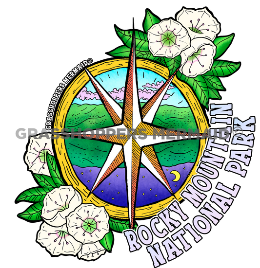 Compass Night Reflection