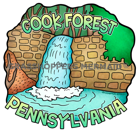 Cook Forest Waterfall