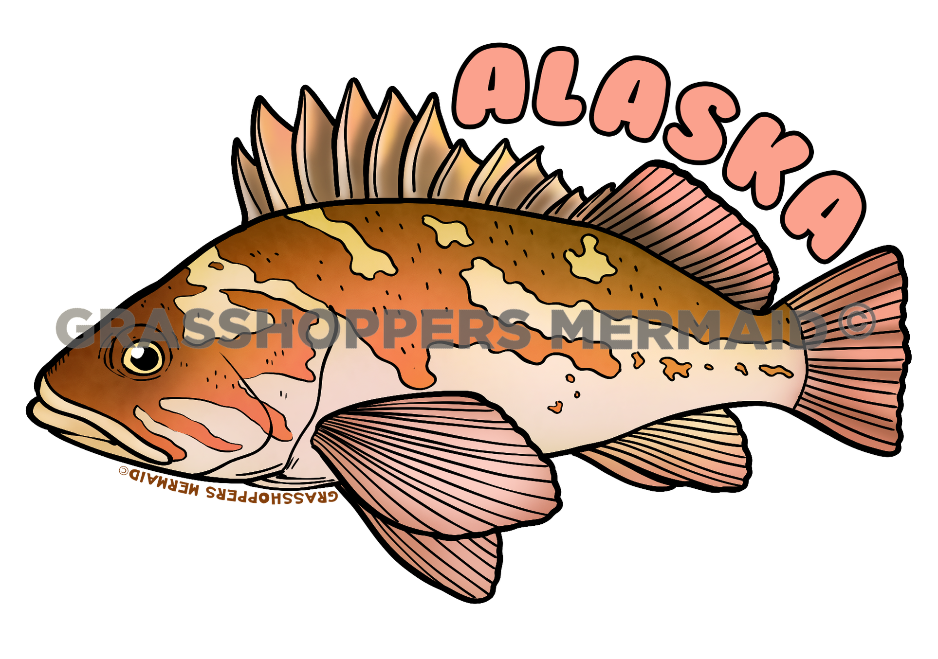 Copper Rockfish