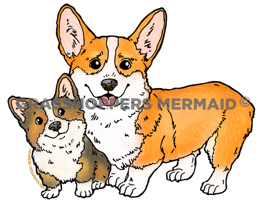 Corgi