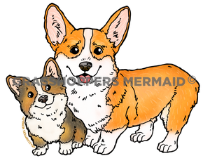 Corgi