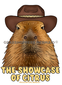 Cowboy Cappy