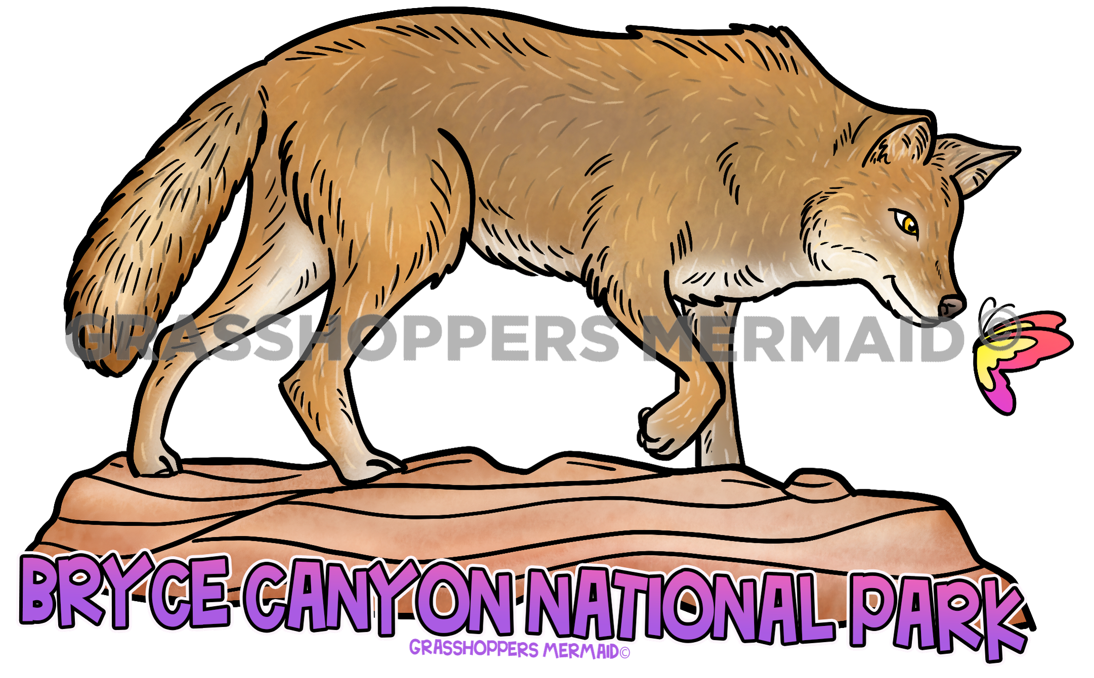 Coyote Butterfly