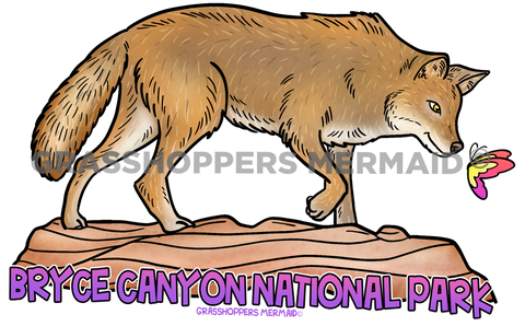 Coyote Butterfly