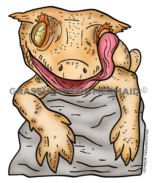 Crested Gecko Tongue