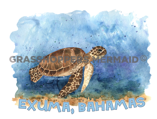 Crusin Watercolor Turtle