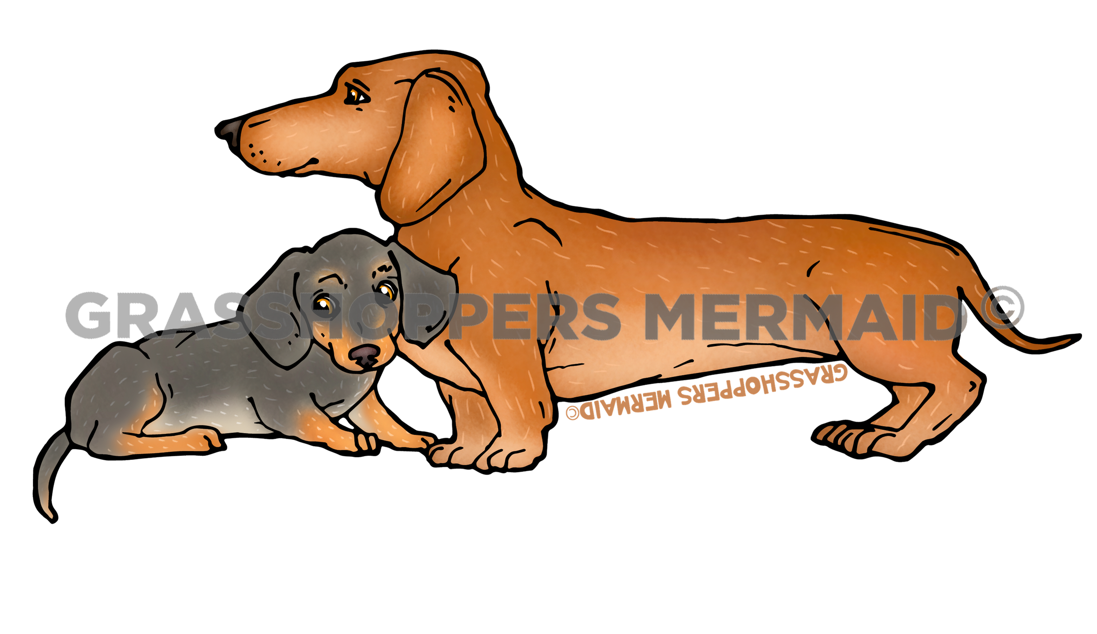 Dachshund Family