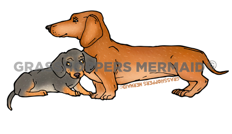 Dachshund Family