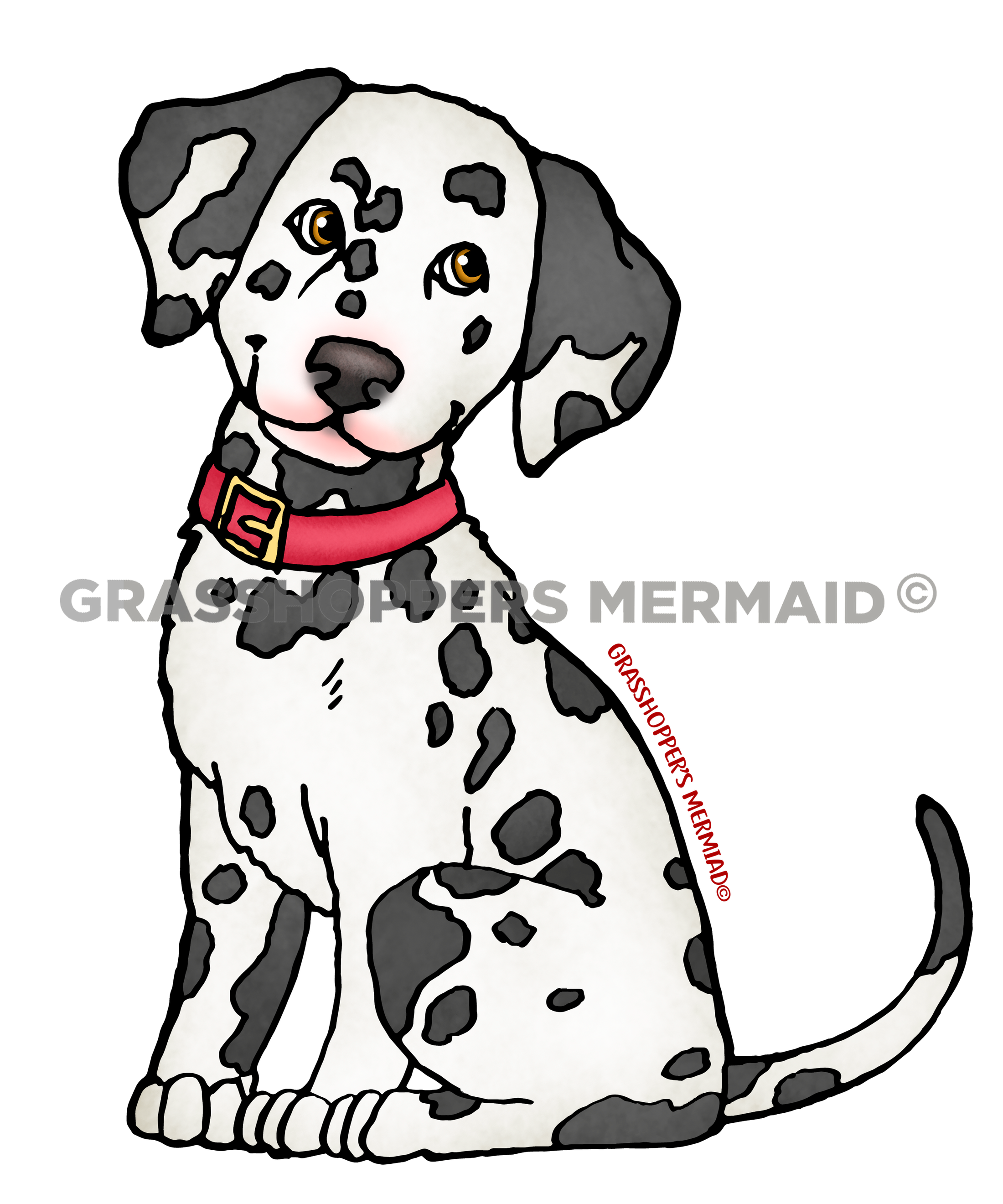 Dalmation Puppy