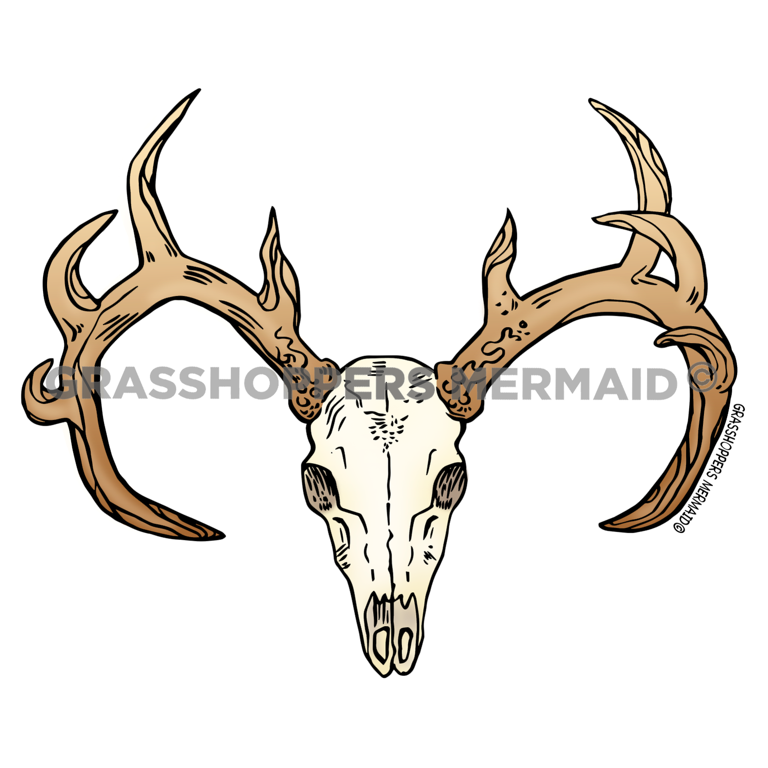 Deer Antlers