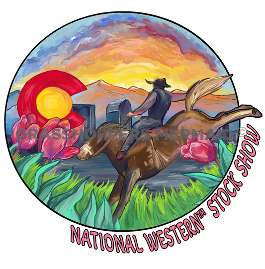 Denver Cowboy Skyline