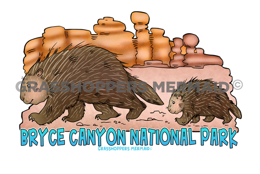 Desert Porcupine Family