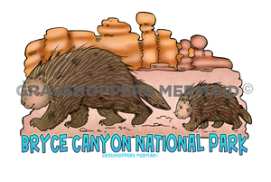 Desert Porcupine Family