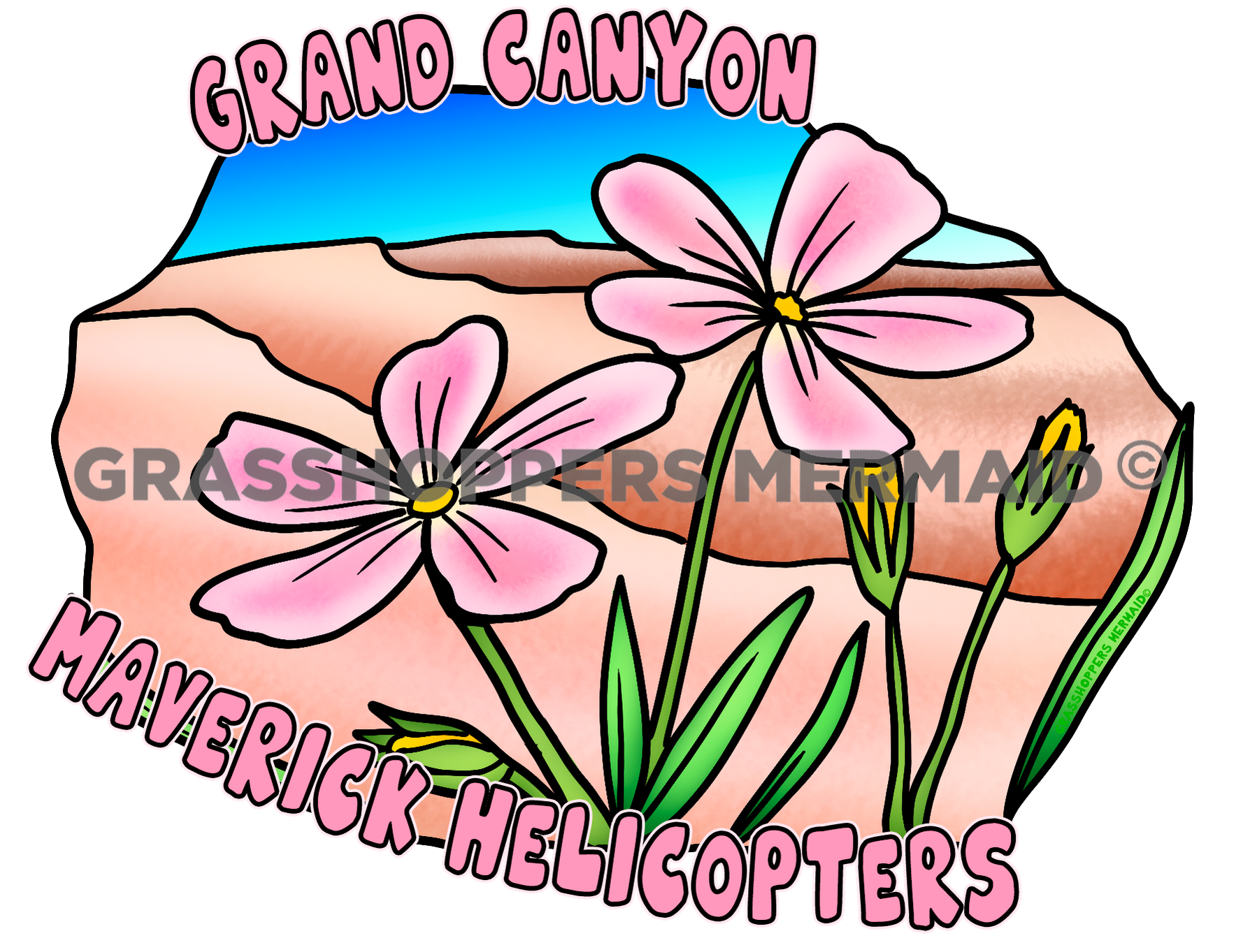 Desert Phlox