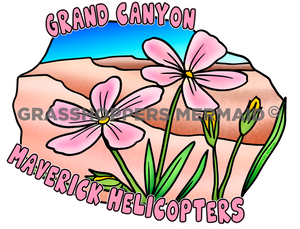 Desert Phlox