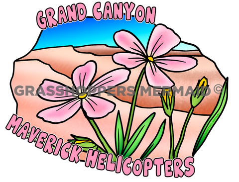 Desert Phlox