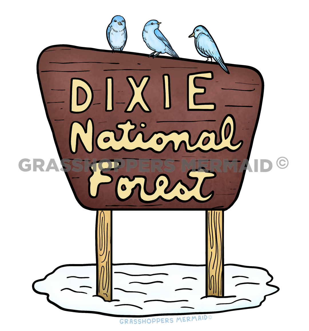 Home › Dixie National Forest Sign