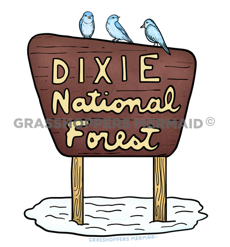 Dixie National Forest Sign