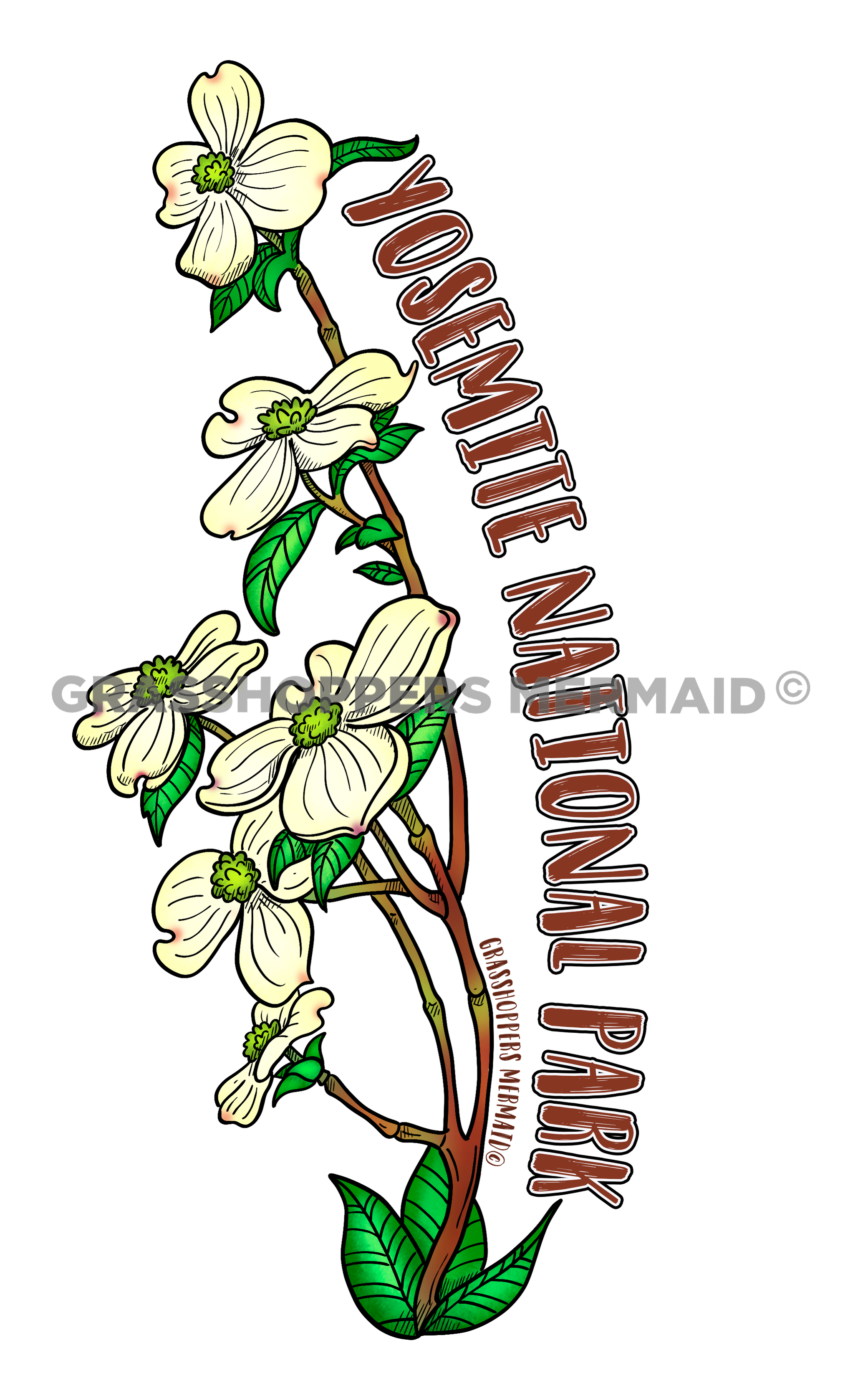 Dogwood Flowers