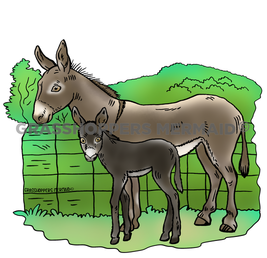 Donkey Family