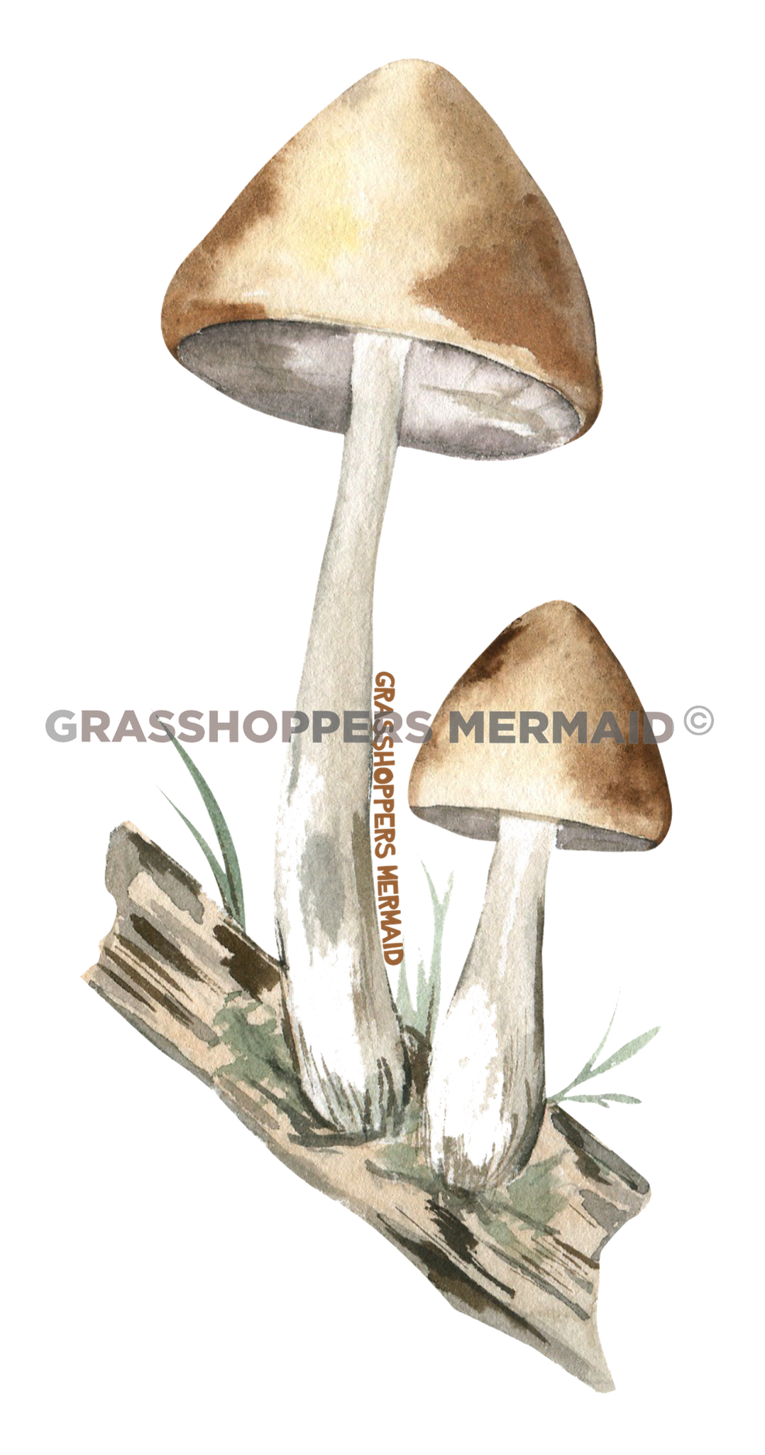Double Mushroom Log