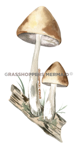 Double Mushroom Log