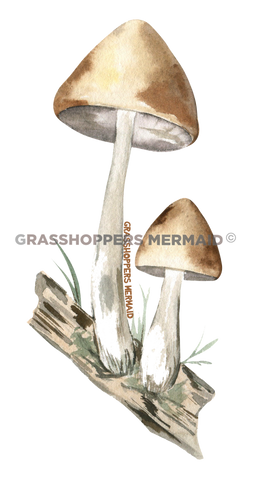 Double Mushroom Log