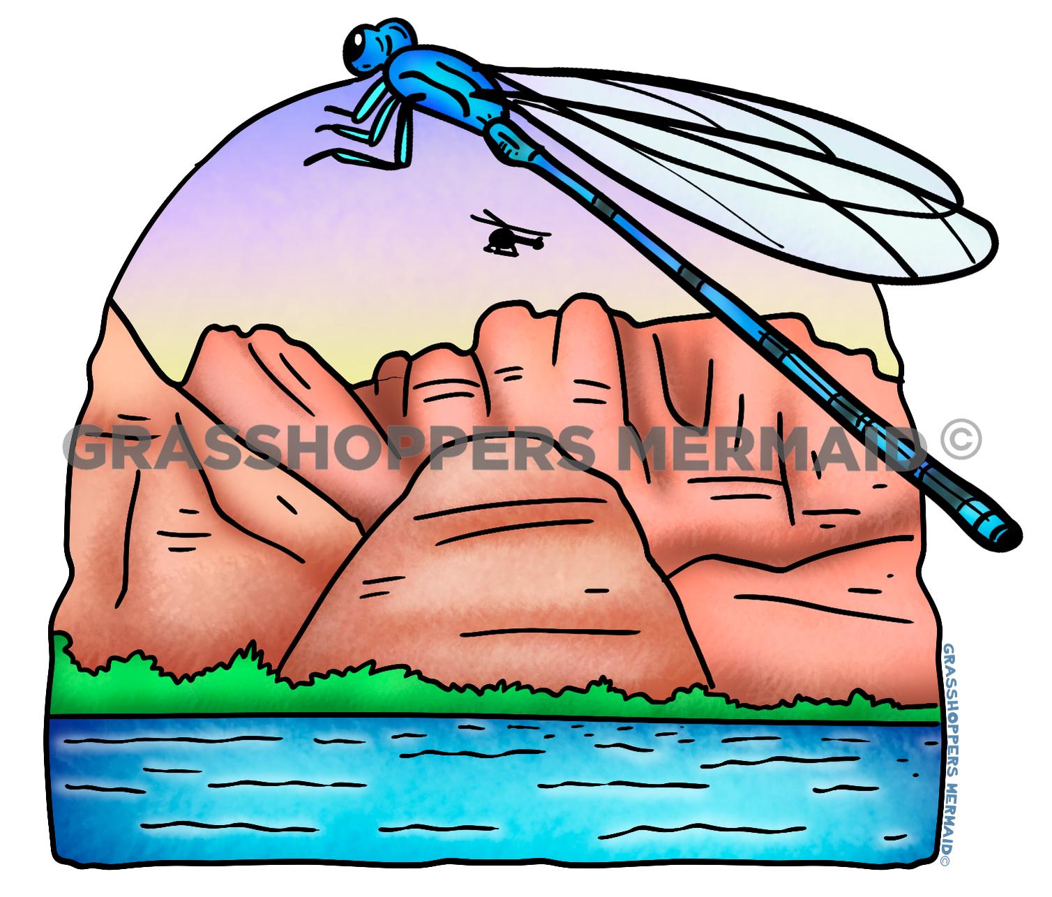 Dragonfly & Helicopter