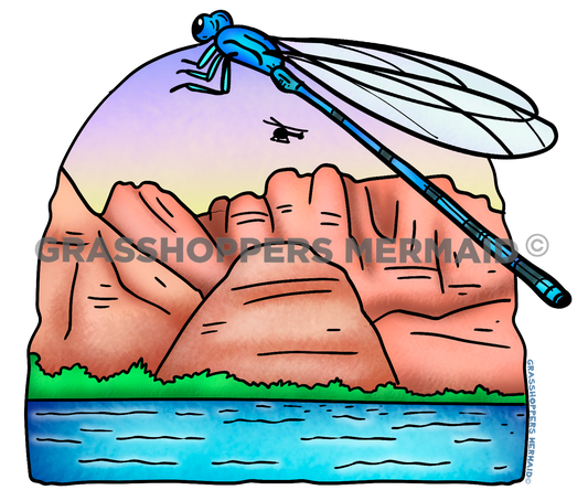 Dragonfly & Helicopter