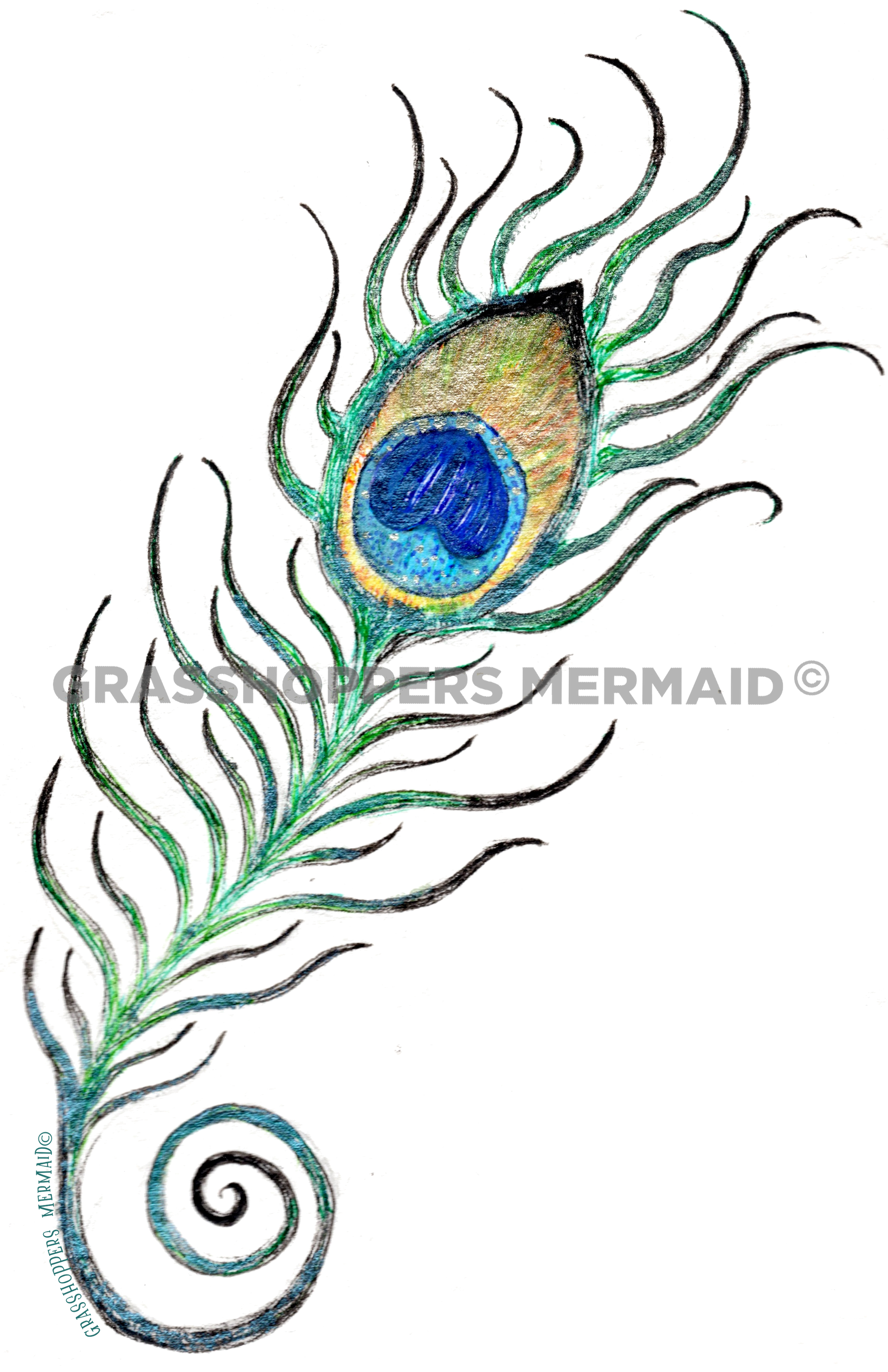 Dreamy Peacock Feather