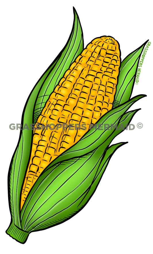 Ear of Corn