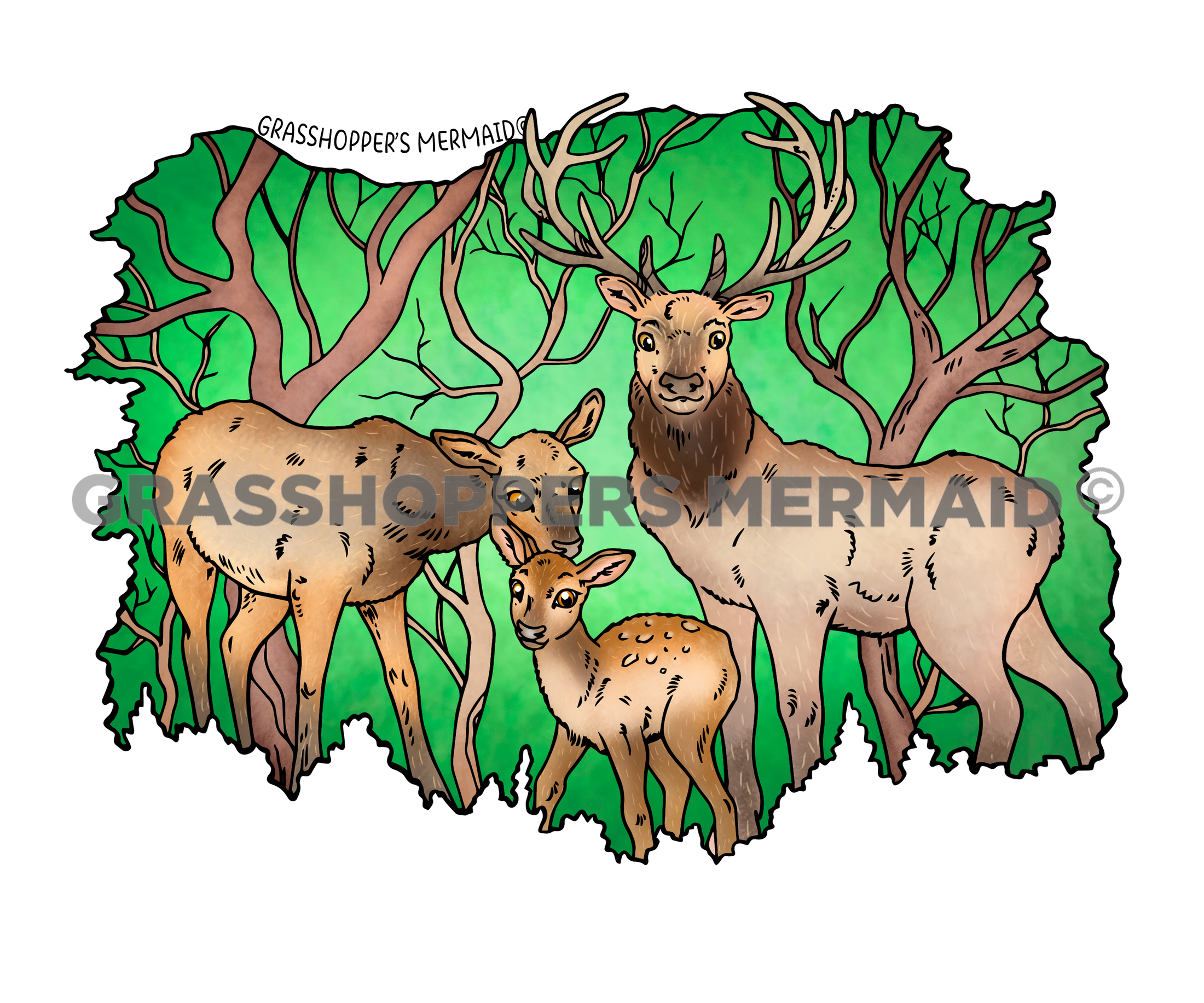 Elk Family