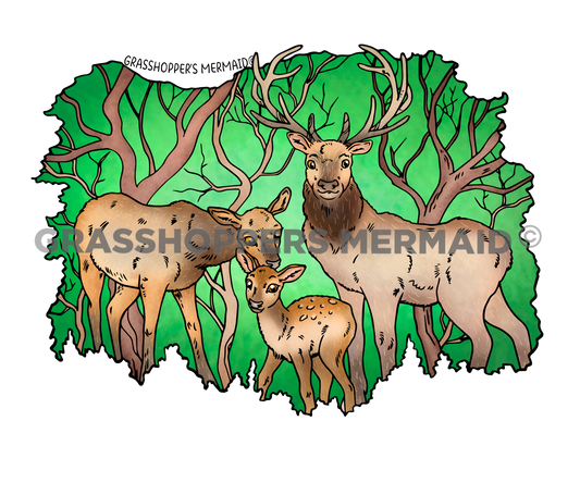 Elk Family