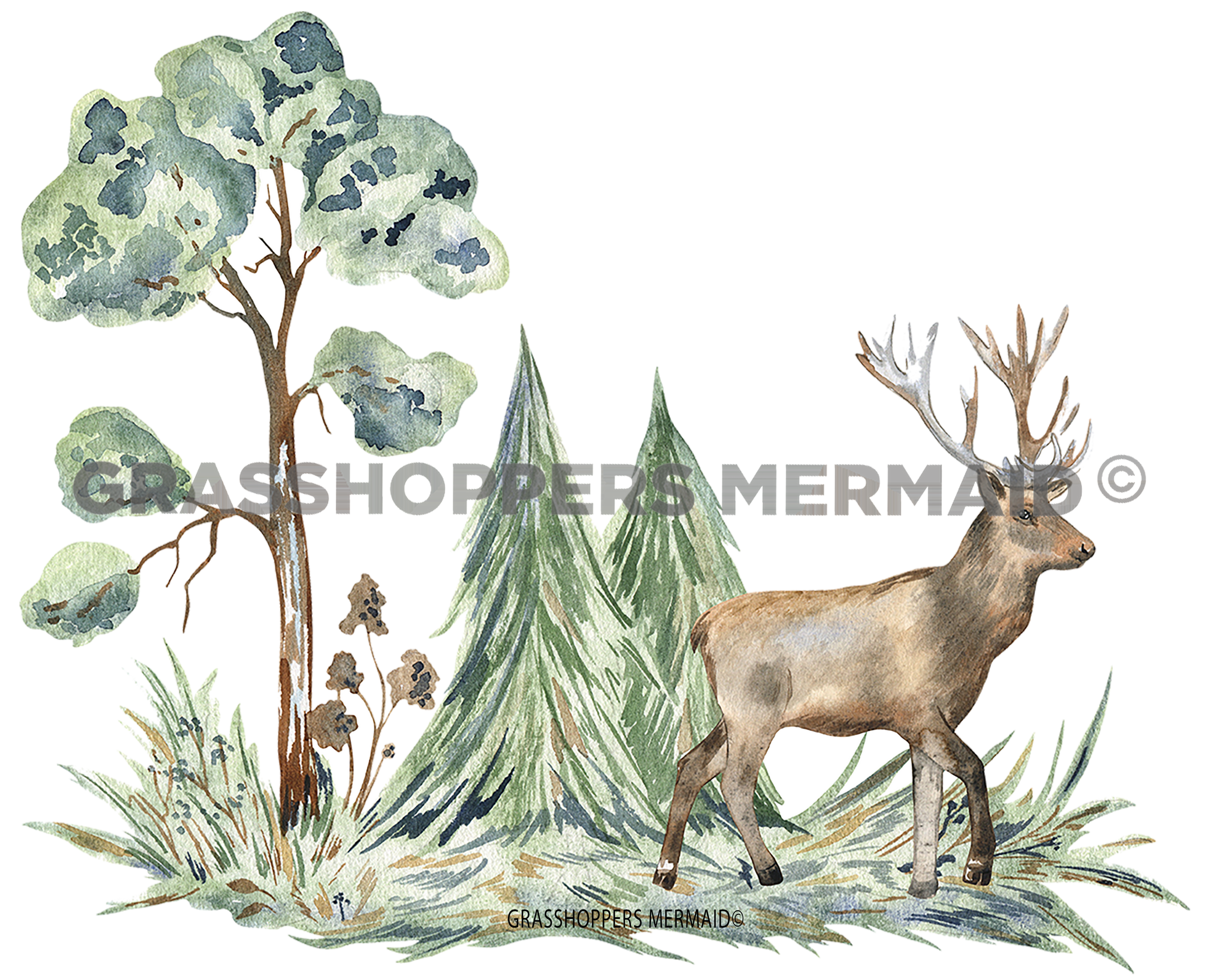 Elk Travels