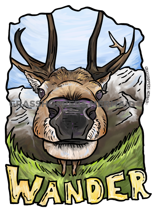 Elk Wander