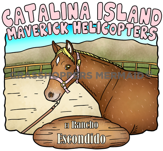 El Rancho Escondido Horse