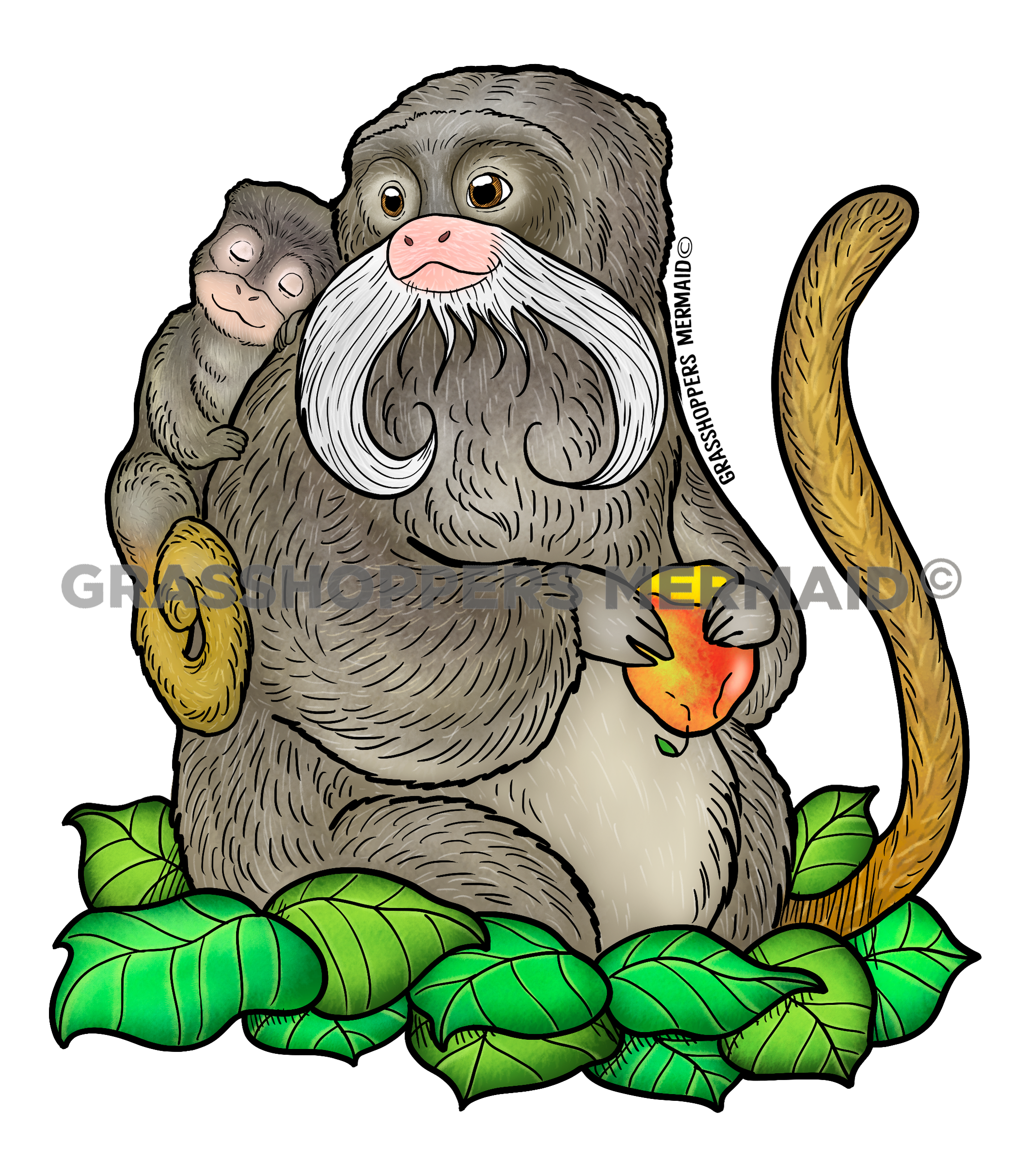 Emperor Tamarin