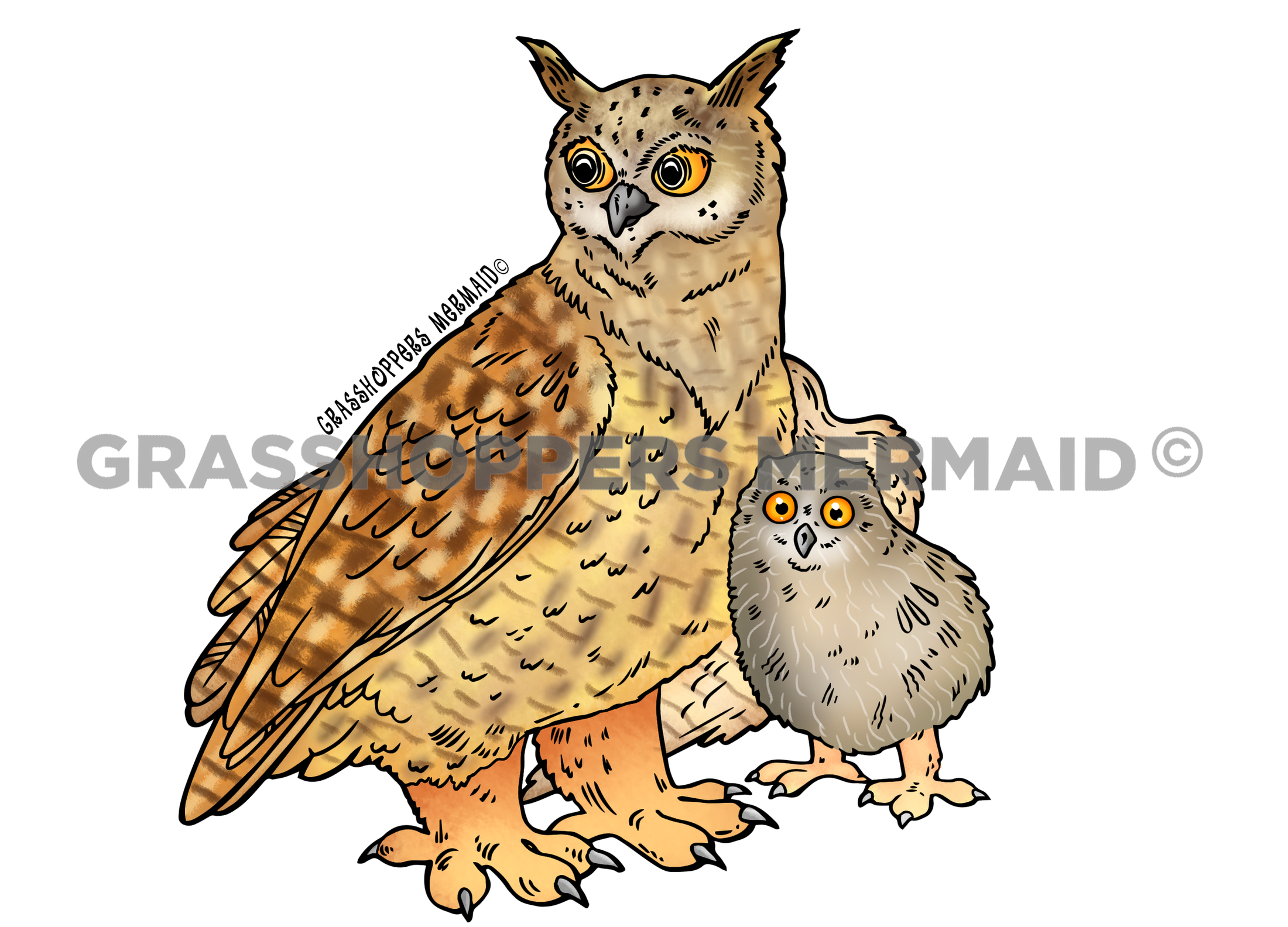 Eurasian Eagle Owl