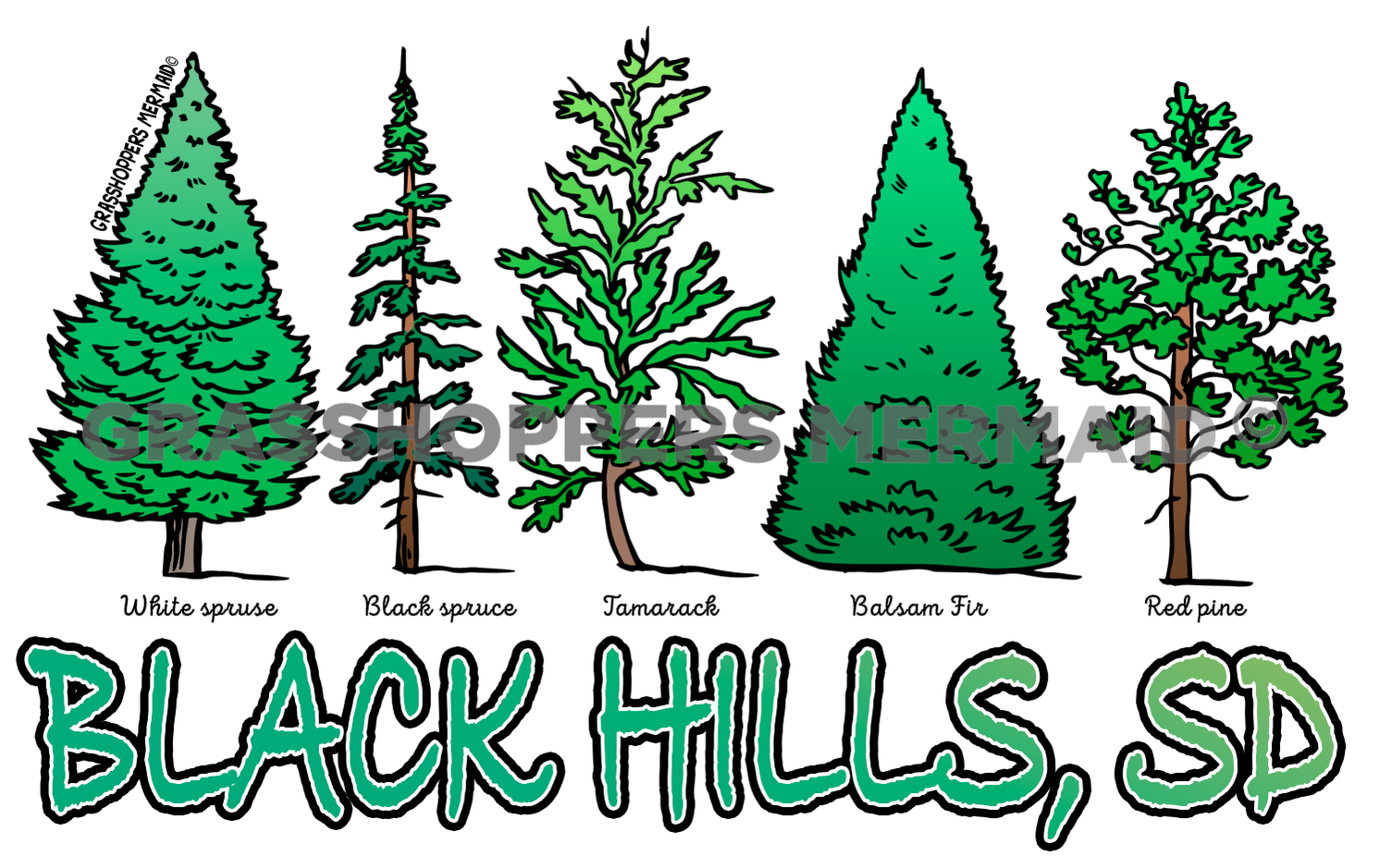 Evergreen Collage