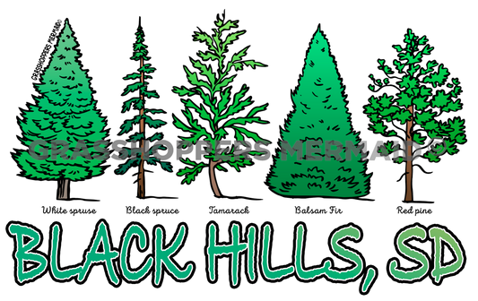 Evergreen Collage