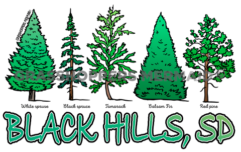 Evergreen Collage