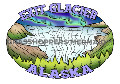 Exit Glacier Northern Lights