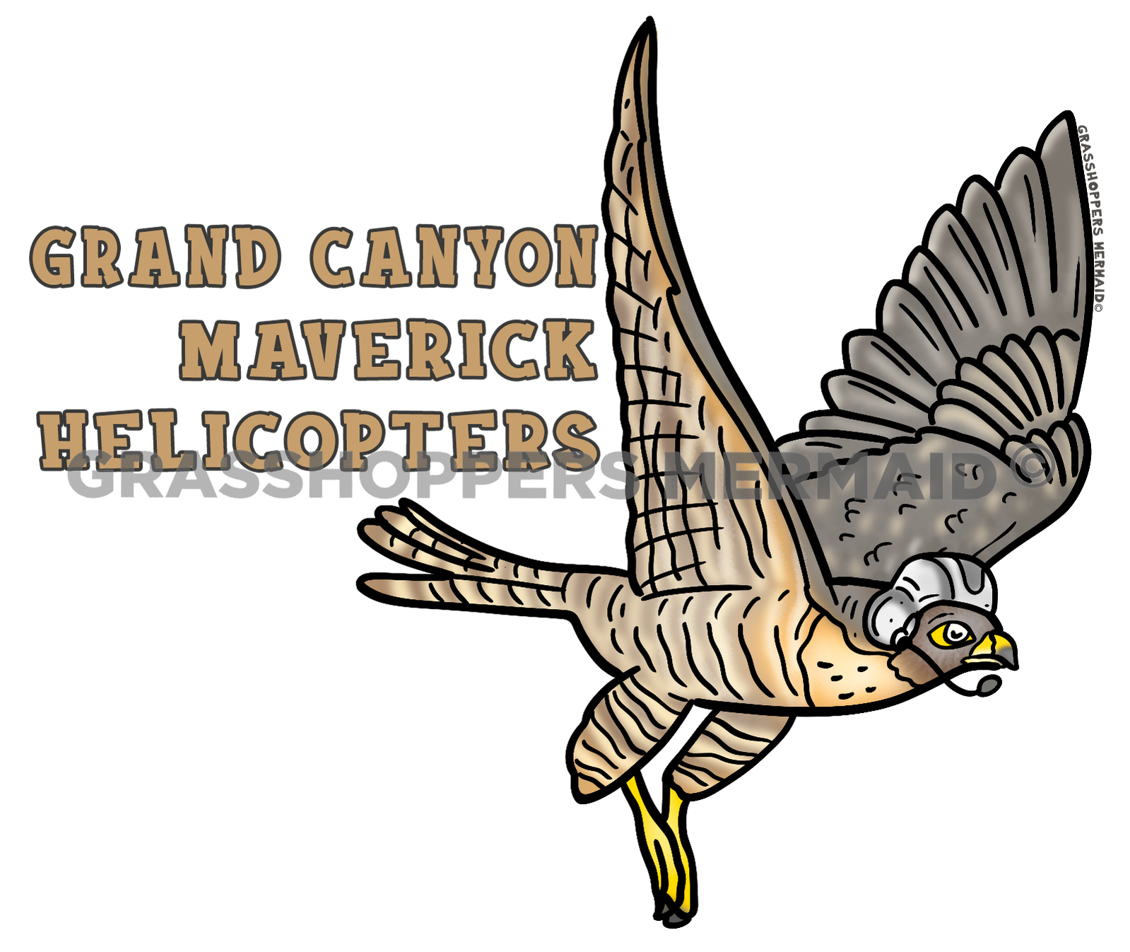 Falcon in Helmet