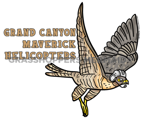Falcon in Helmet