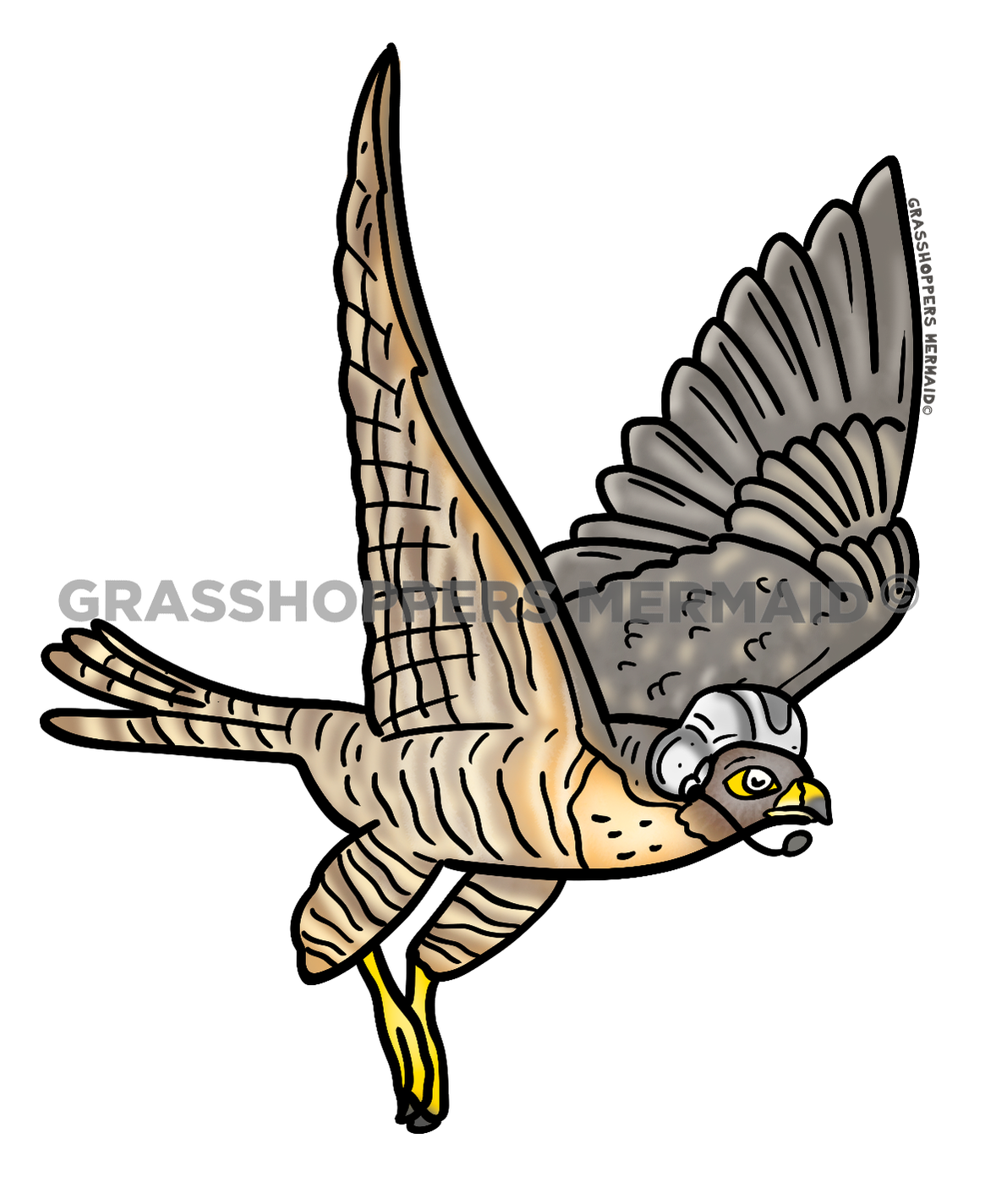 Falcon in Helmet