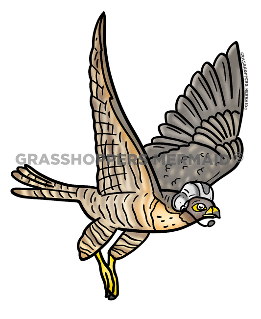 Falcon in Helmet