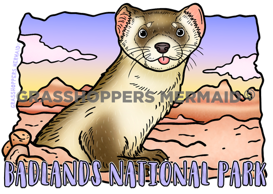 Ferret Badlands