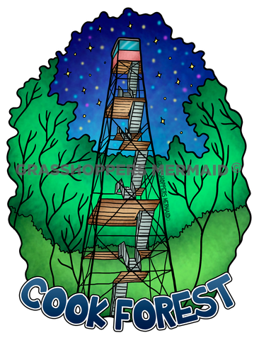 Fire Lookout Tower